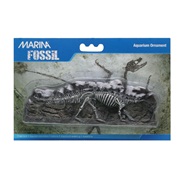 Marina Decorative Fossils,  Stegosaurus, 19 x 13 x 6.3 cm (7.4" x 5.1" x 2.4")