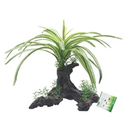 Fluval Decorative Plants, Fountain Plant, 25 cm (10") on Root