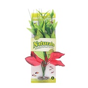 Marina Naturals  Red & Green Pickerel Silk Plant, L