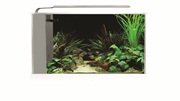 Fluval Spec Aquarium Kit - White - 19 L (5 US gal)