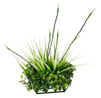 Fluval® Chi Boxwood & Tall Grass Ornament