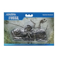 Marina Decorative Fossils,   3pc Tyrannosaurus Rex15.7 x 3.8 x 7.5 cm (6.1" x 1.49" x 2.9")