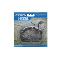Marina Decorative Fossils,   Tiger Fish 10.2 X 3 X 7cm (4.0" x 1.1" x 2.7")