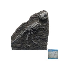 Marina Decorative Fossils,   T-REX 21.6 x 22.9 x 4.6cm (8.5” x 9” x 1.8”)