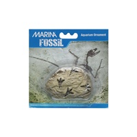 Marina Decorative Fossils,   Footprints  9.5 x 4 x 6 cm (3.7" x 1.5" x 2.3")