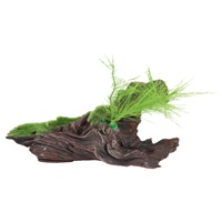 Fluval Black Driftwood Replica with Moss - Medium - 18 x 11 x 14 cm (7" x 4.3" x 5.5")