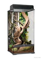 Exo Terra Natural Glass Terrarium - Small - X-Tall - 45 x 45 x 90 cm (18” x 18” x 36”)