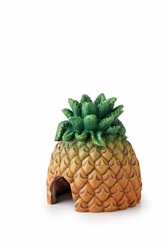 Exo Terra Pineapple Hide