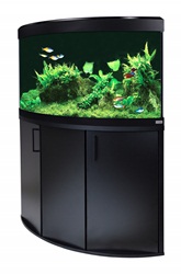 Fluval Venezia 190 LED Black Aquarium Kit