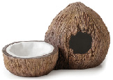 Coconut Water Dish